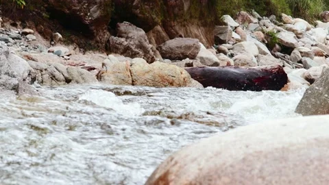 Video of water running strong in a river with stones. Concept nature and rivers. Stock Footage 238968972