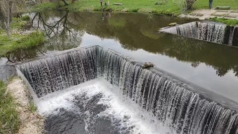 Video waterfall, dam, bubbling water in a green park Stock Footage 187730865