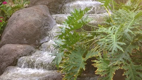 Video of waterfall in real slow motion Stock Footage 77443628