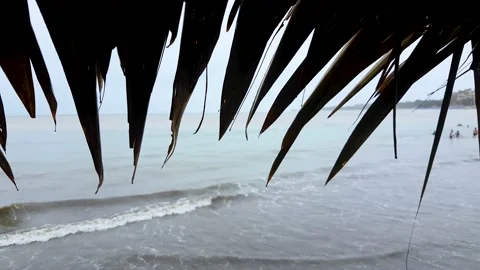 The video of the waves Vidéo 226032169