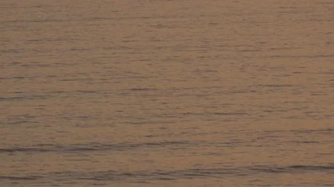Video of the waves of the sea (Pacific Ocean in Lima, Peru) at sunset. Stock Footage 236274230