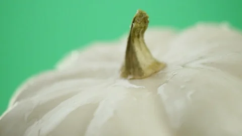 In the video we see a white pumpkin, water pouring from the top as the rain then 스톡 동영상 116651405