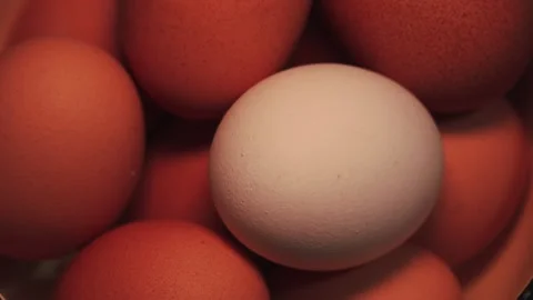 Video of a white egg surrounded by brown eggs in a bowl. Food concept. Stock Footage 262805151