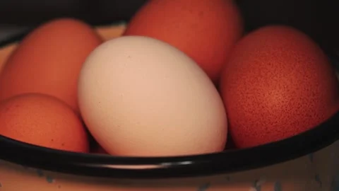 Video of a white egg surrounded by brown eggs in a bowl. Stock Footage 262805159