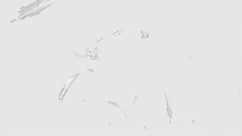 A video of white feathers rotating and scattering from the foreground to the bac Vídeo Stock 333442927