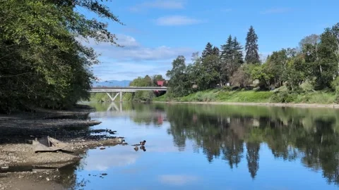 Video of wide river with trees lining both sides and bridge traffic ahead Stock Footage 334091901