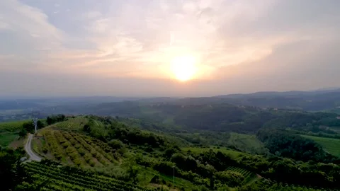 Video of the wine fields in the region of brda in slovenia during sunset Vídeos de archivo 157274473
