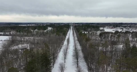 Video of a winter tree lined lane, path, trail with snow covering the ground. Stock Footage 237203079