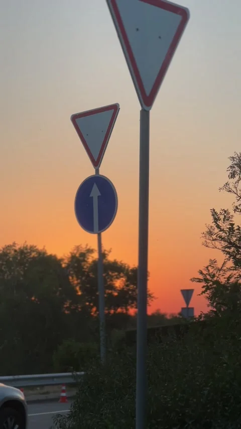 Video without processing Video stock 279839222