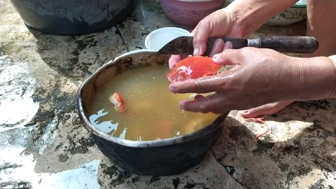 Video of women's hands cleaning crabs for cooking Stock Footage 221269170