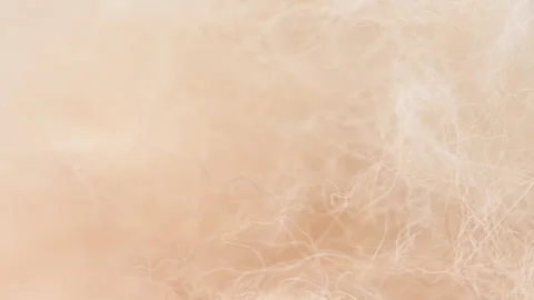 Video of a wool background Stock Footage 328727763