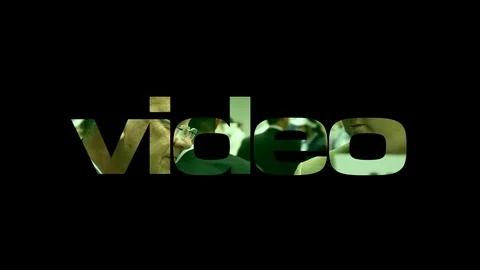 VIDEO WORD Stock Footage 118404323
