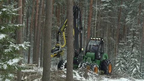 Video of a working forwarder inside the forest in winter Stock Footage 70706125