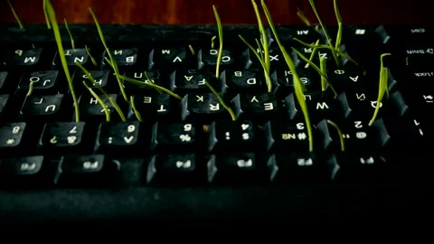 Video for the writer. Hands type text and words begin to sprout Stock Footage 153044928