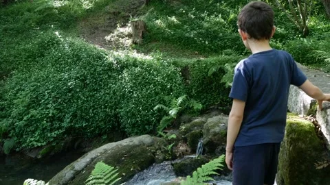 Video of a young boy in the forest, no sound Stock Footage 131767299