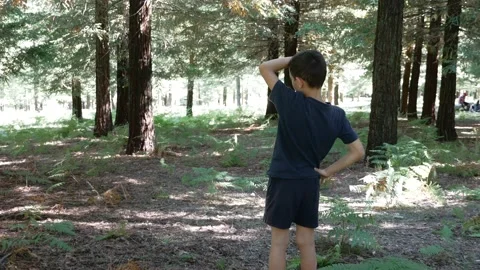 Video of a young boy in the forest, no sound Stock Footage 137089242