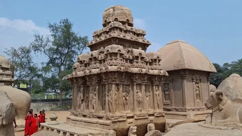 Video4 Stock Footage 328390098