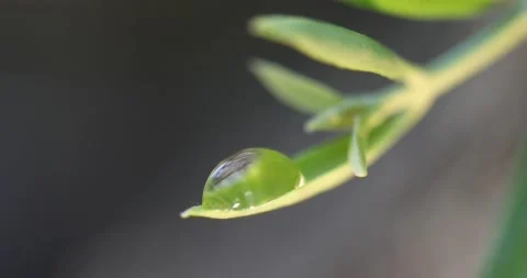 Video6 스톡 동영상 130596972