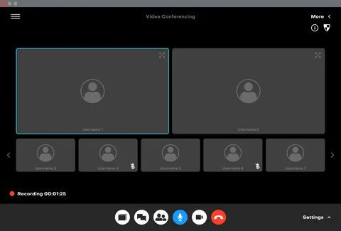Videocall interface, video conference call screen イラスト素材