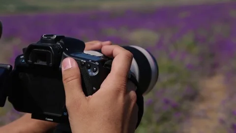The videographer is shooting in the field Stock Footage 77427412