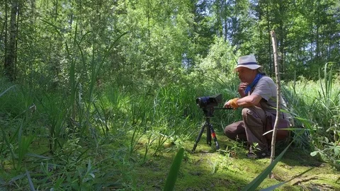 Videographer on swamp: Mature man in hat is drinking water from bottle Stock Footage