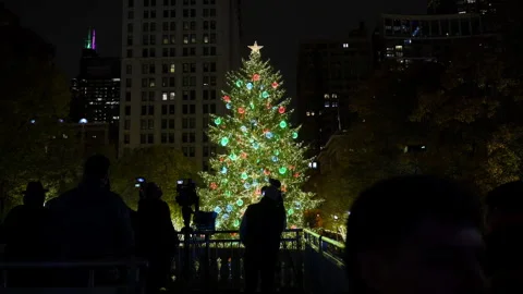 Videographers capturing annual Christmas tree lighting ceremony in city park. A Stock Footage 322087731