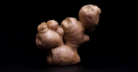 Videos on Ginger. Stock Footage 166008233