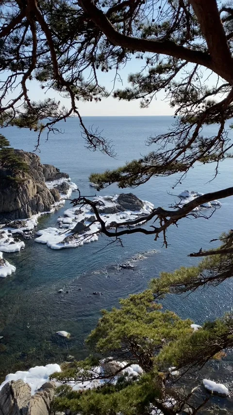 Video:sea ​​in winter Stockbeeldmateriaal 167105681