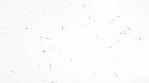 Videotape with stains. Camera roll with Distortion, Dirt and Scratches animation Stock Footage 155627901