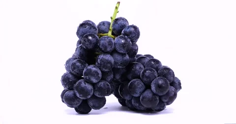 Videotaped large grapes on a turntable. Video stock 277790488