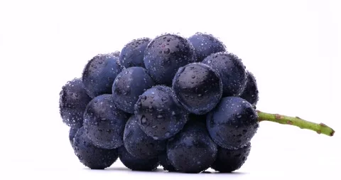 Videotaping large grapes on a rotating table. Video stock 204845723