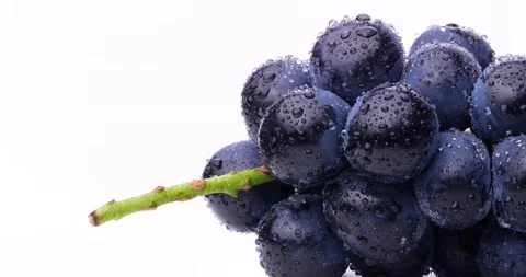 Videotaping large grapes on a rotating table. Stock Footage 207955551