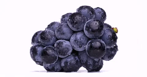 Videotaping large grapes on a rotating table. Stock Footage 244754316