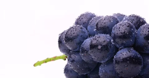Videotaping large grapes on a rotating table. Video stock 249923346
