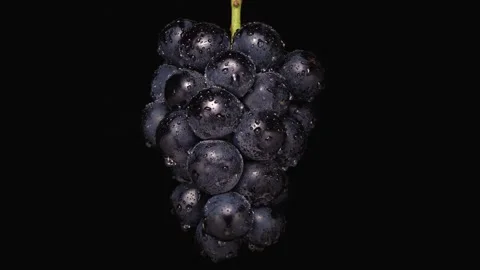 Videotaping large grapes on a rotating table. Stock Footage 275133227