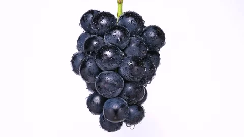 Videotaping large grapes on a rotating table. Stock Footage 275133234