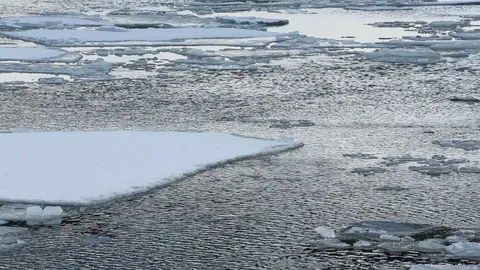 Videouploadss--125059 Stock Footage 87533366