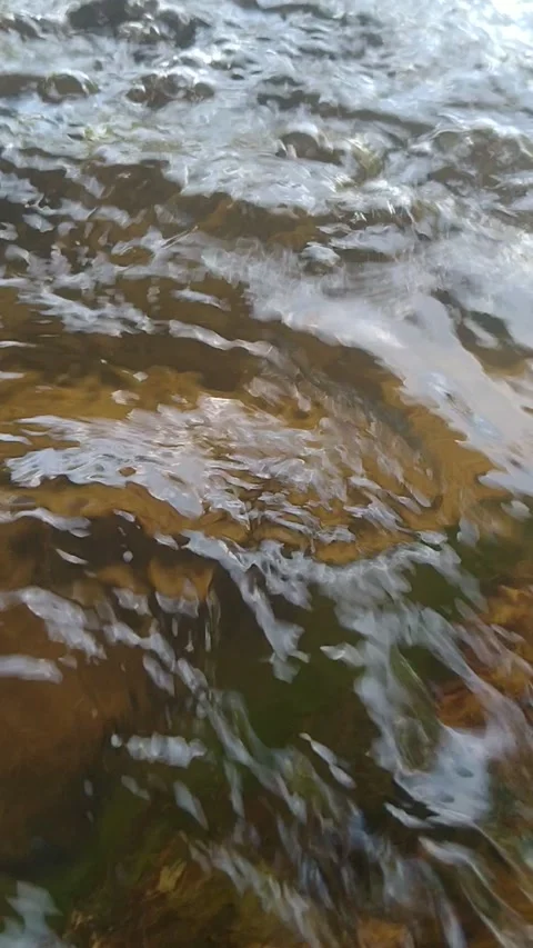 Vidio template Stock Footage 225480910