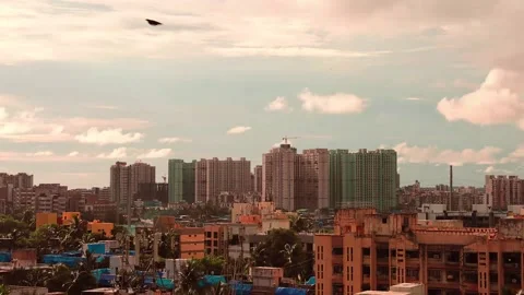 Vidiout Stock Footage 136479206