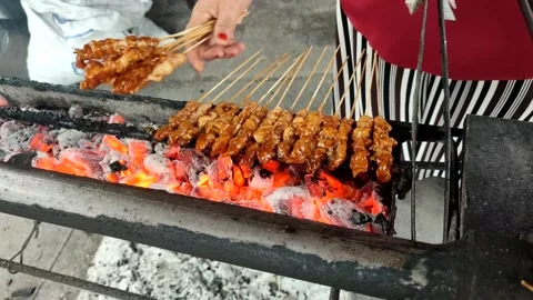 VIDSate or Satay Stock Footage 234404675