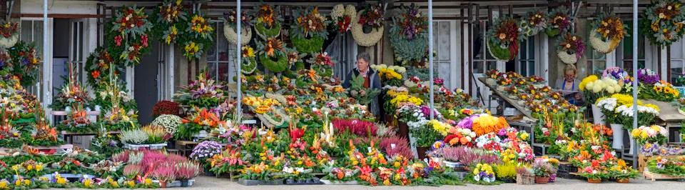 VIENNA, AUSTRIA - 10/25/2016: stalls of gardeners Stock Photos