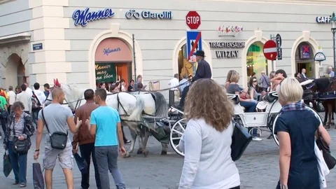 VIENNA, AUSTRIA – SEPTEMBER 30, 2011: Foreign tourists in Vienna's main square Stock Footage 78703246