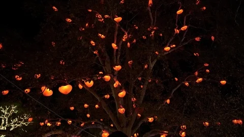 Vienna Herzerlbaum / heart tree 2 Stock Footage 121642314