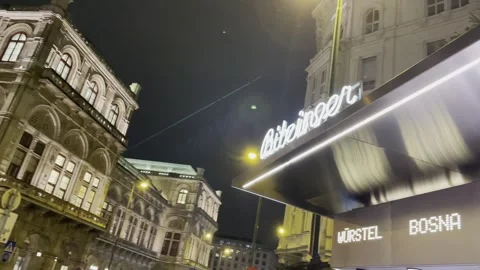 Vienna opera house Stock Footage 299238826
