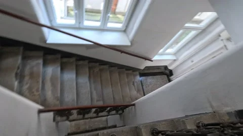 Vienna's Vibrant Daytime Streets: A Visual Tour in 5K Quality Stock Footage 239020534