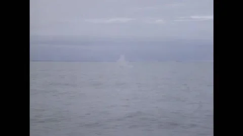 VIETNAM - 1966 - Shells exploding in water, throwing up splash away from the Stock Footage 316681807