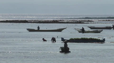 Vietnam Beach Landscape Stock Footage 63923698