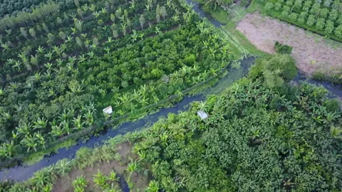 Vietnam Canals 1 Stock Footage 148246842