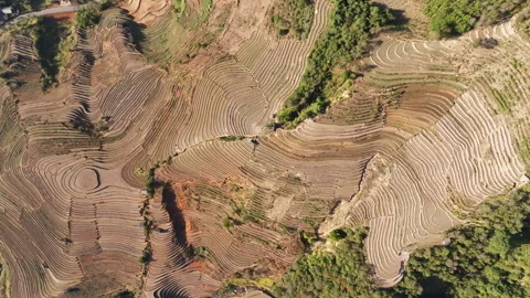 Vietnam Close Up Top Down of Mui Giay Rice Terrace Eye Pattern Stock Footage 328501629