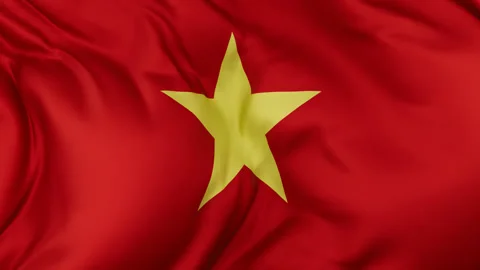 Vietnam cloth flag background loop Stock Footage 310851171